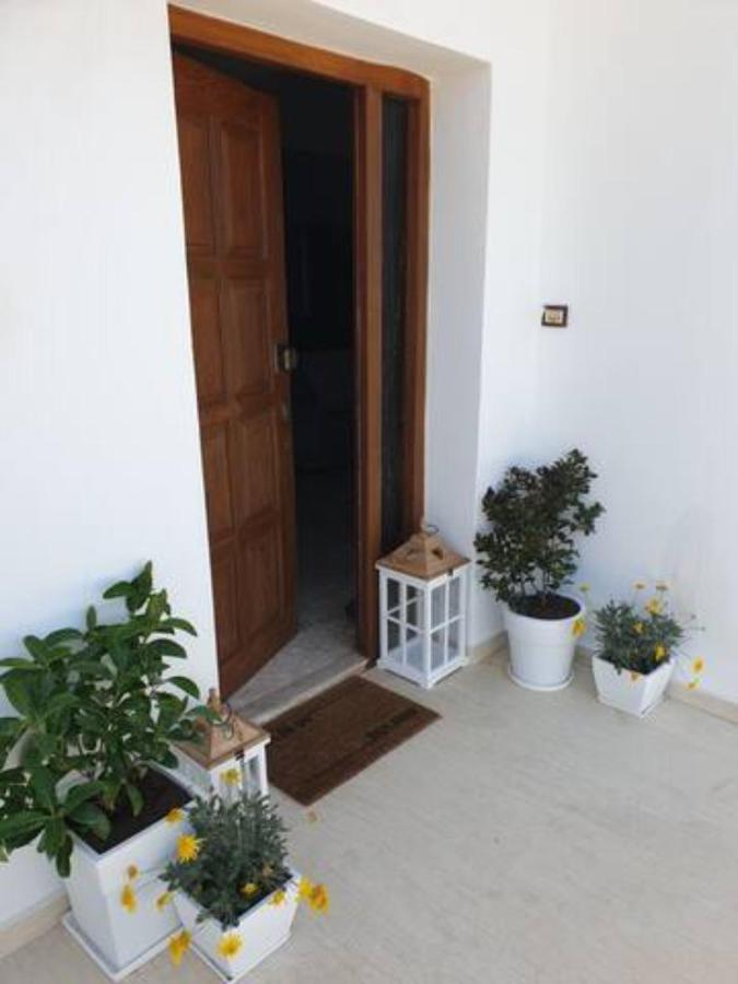 Palaikastro Holiday Apartment Sitia  Exterior foto